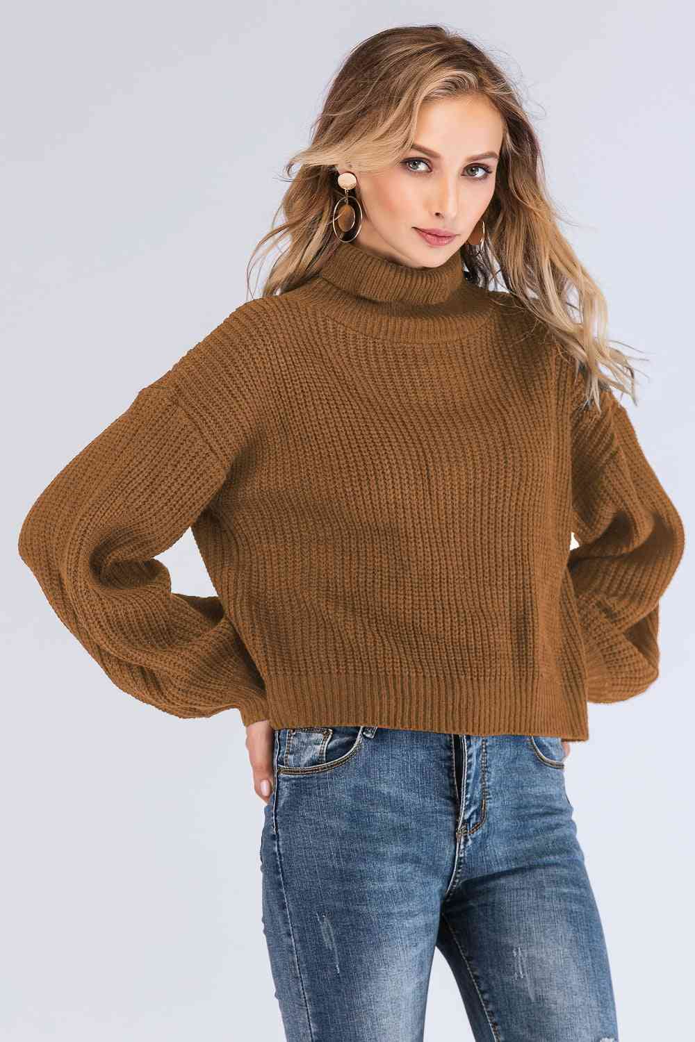 Turtleneck Rib-Knit Sweater